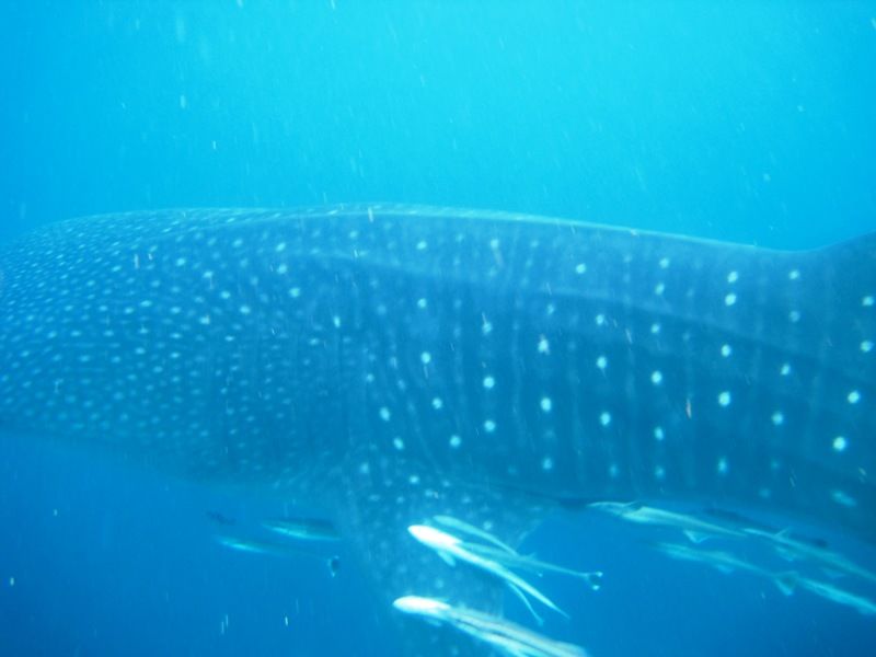 ce5cfb05-e352-4c0f-a91c-a095be636ccd