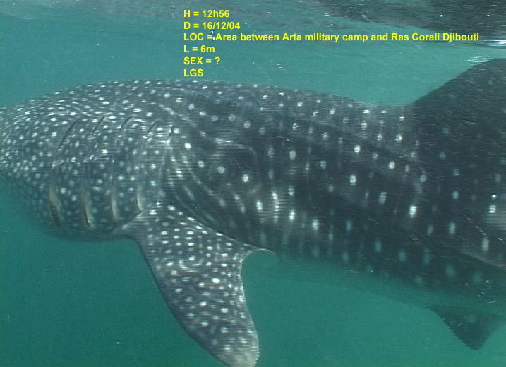 210970d4-a68f-4839-83a0-74d2297674f8