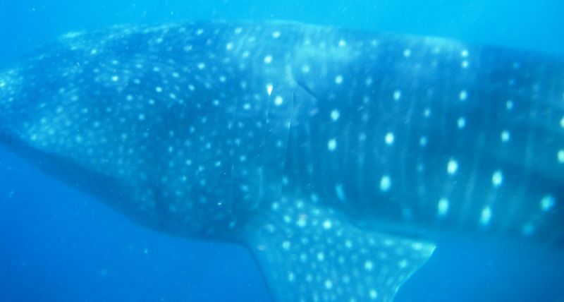 77d0a576-e61d-4e62-903e-b23914369d5f