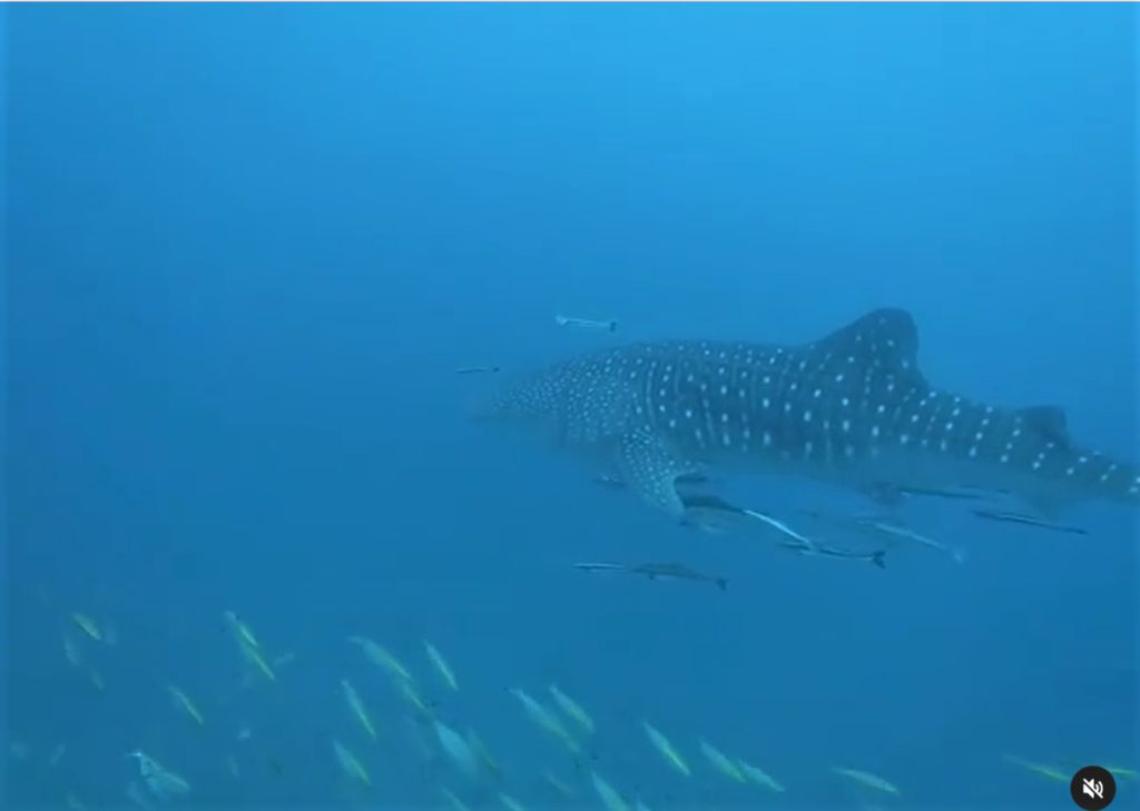 48bcfb6e-7648-4120-a9c5-74ae5626712a