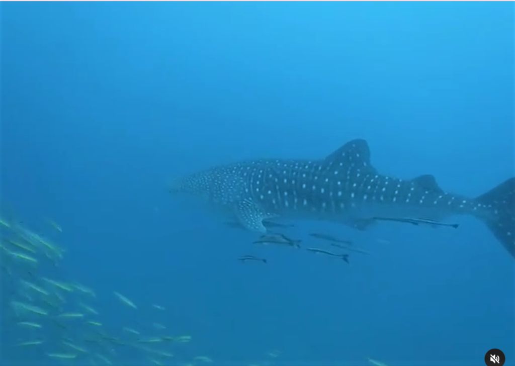 48bcfb6e-7648-4120-a9c5-74ae5626712a