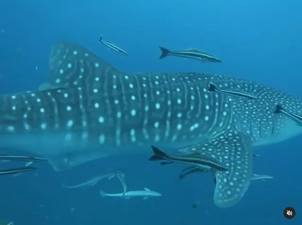 48bcfb6e-7648-4120-a9c5-74ae5626712a