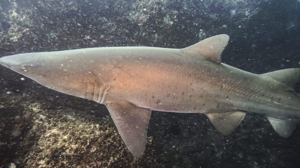 1b8db7f2-a8d7-4f6c-8ccf-98470f4bee2f