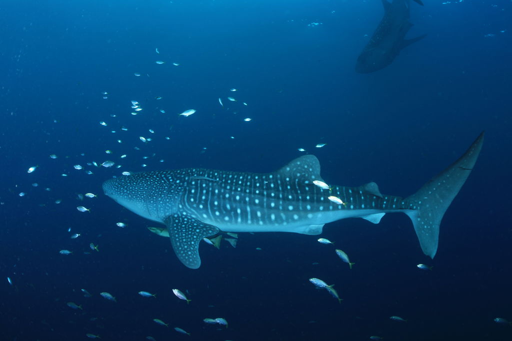 3ff86a23-1cc2-4616-93e2-91f4ec1c07aa