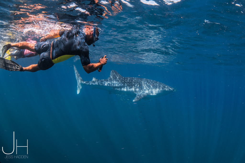 386bad3f-0fa1-4748-9ffc-c75b404a79bb