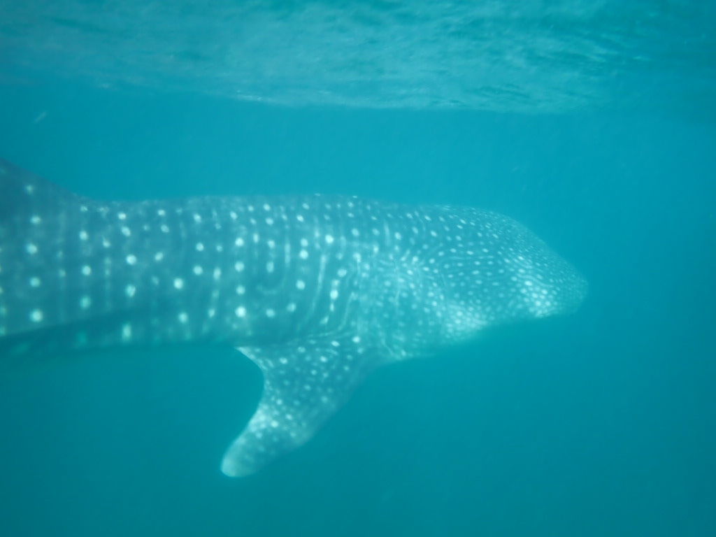 51b3e0b4-9e61-469a-8274-6d8352aaeffb