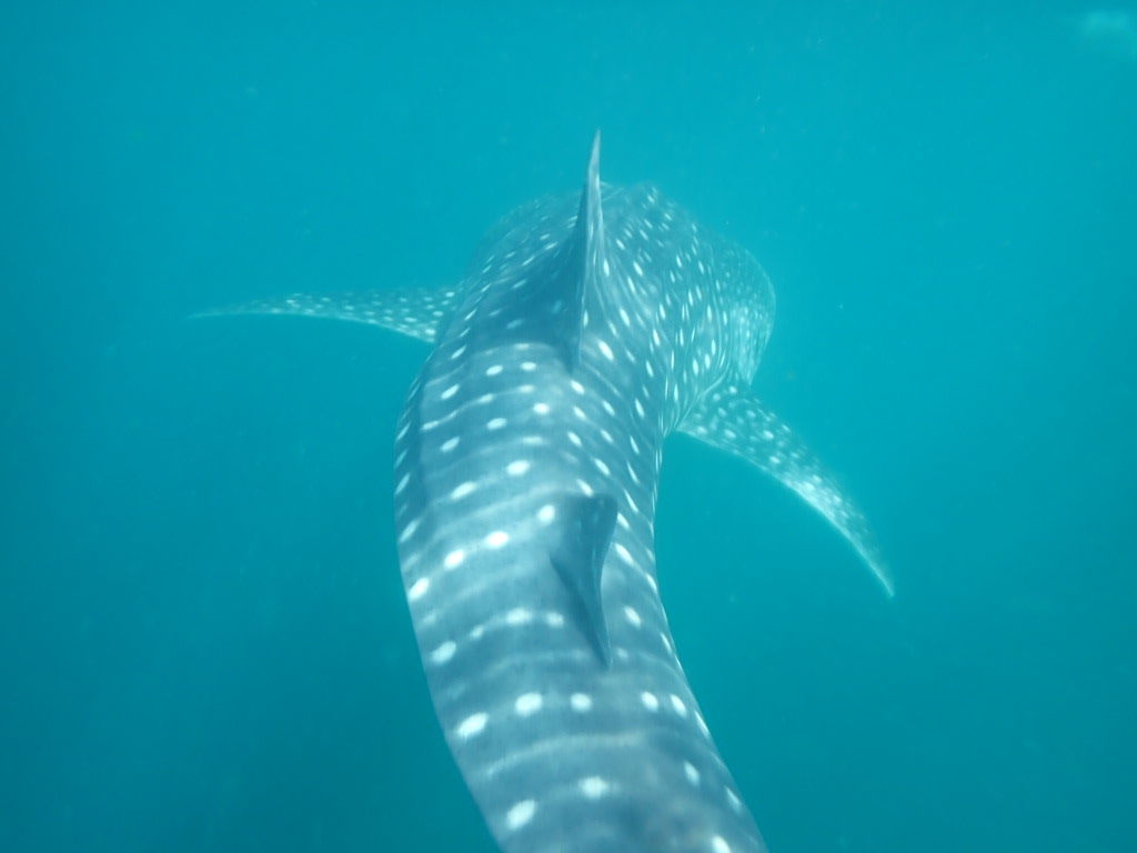 51b3e0b4-9e61-469a-8274-6d8352aaeffb