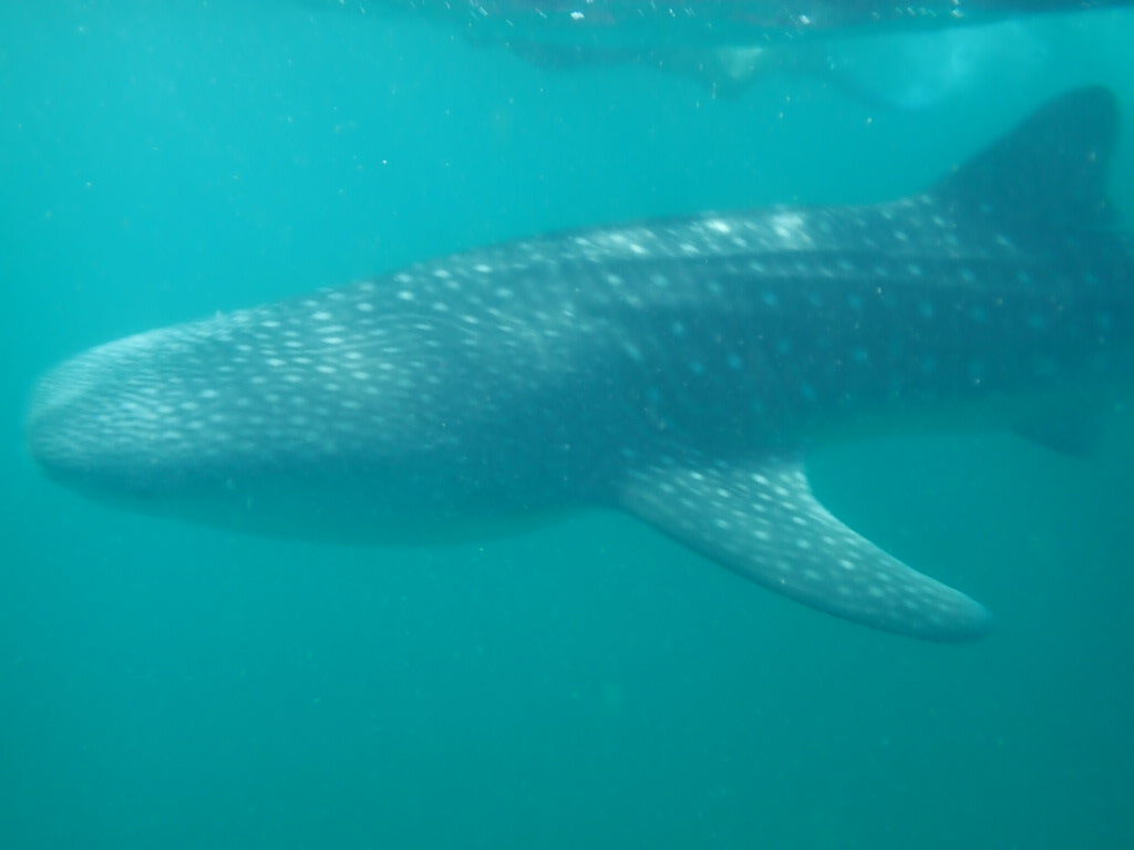 51b3e0b4-9e61-469a-8274-6d8352aaeffb