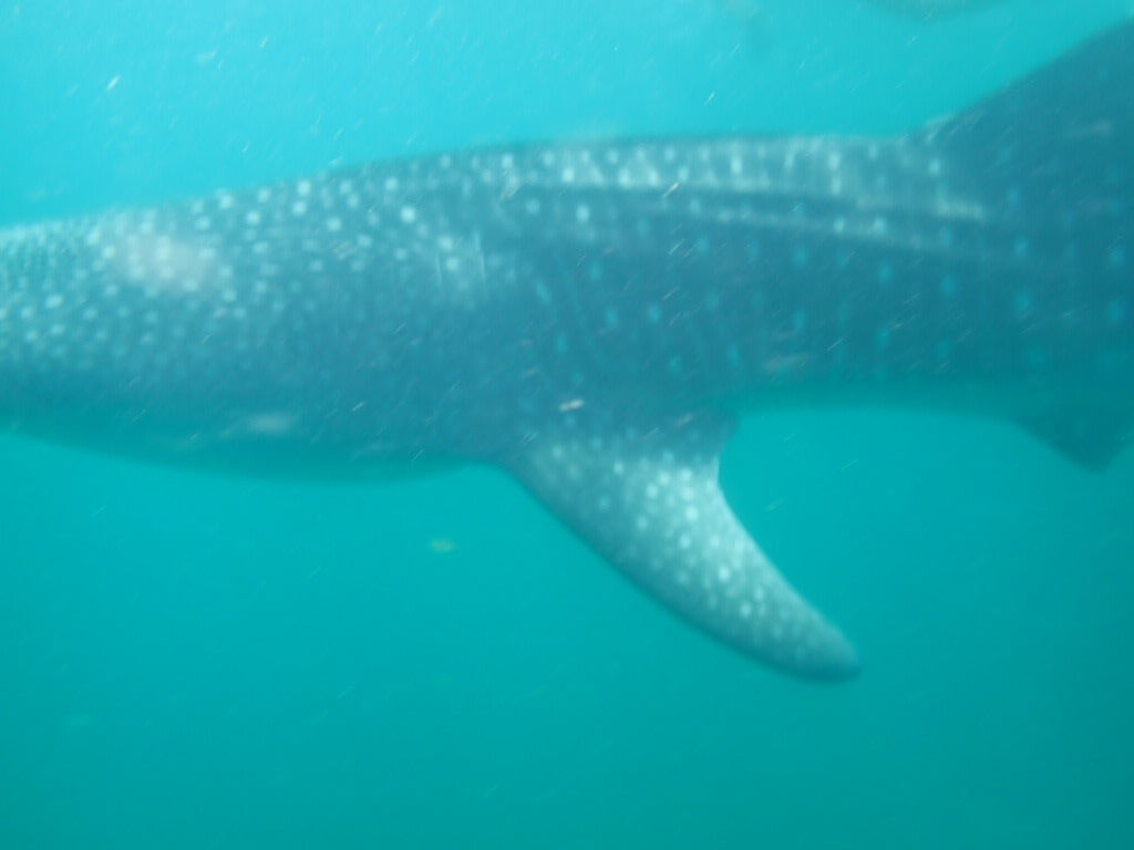 51b3e0b4-9e61-469a-8274-6d8352aaeffb