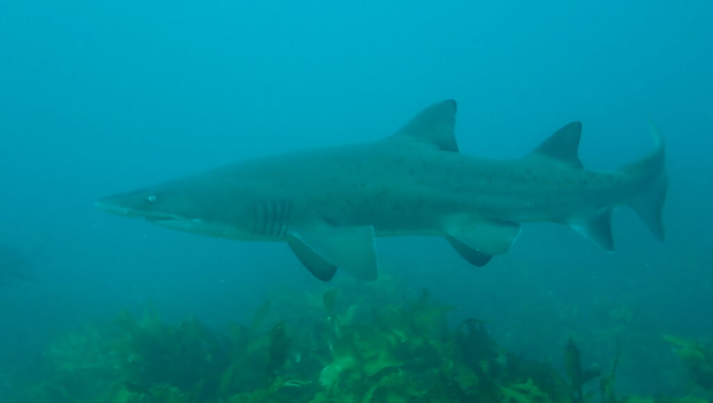 cc8b6016-dbcd-4d7f-8ddc-cfee72bd5220