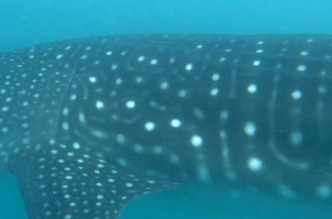 8f7f15af-0827-4cd5-bc62-fbed67a83b89