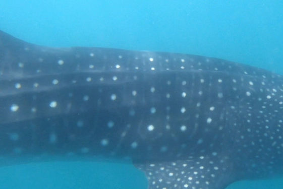 8f7f15af-0827-4cd5-bc62-fbed67a83b89