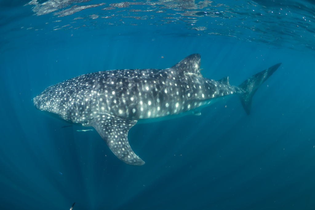 3157d17f-6f30-4765-bc0b-bd124c3560fa