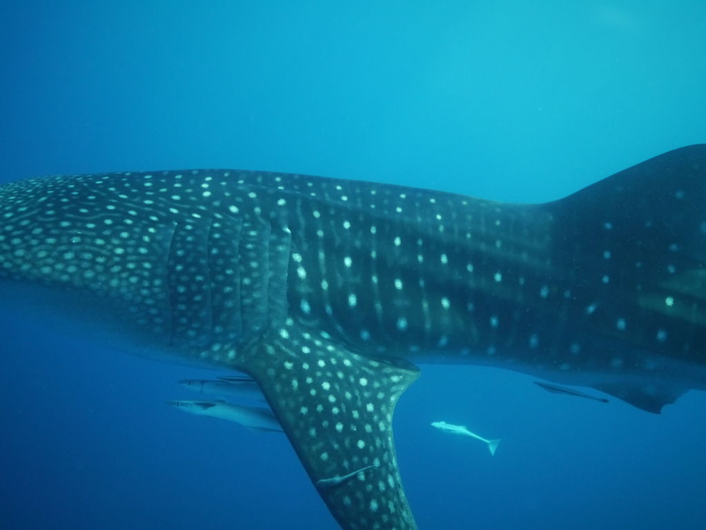 653b2804-dabe-415b-91fa-6fce3226b6fb