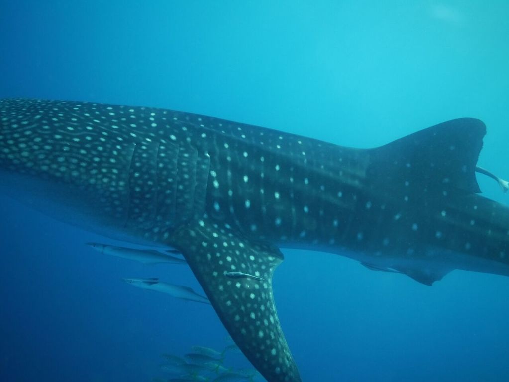 653b2804-dabe-415b-91fa-6fce3226b6fb