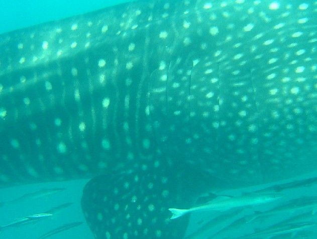 2315a81a-5beb-4f9e-af57-3cf40d8e4851