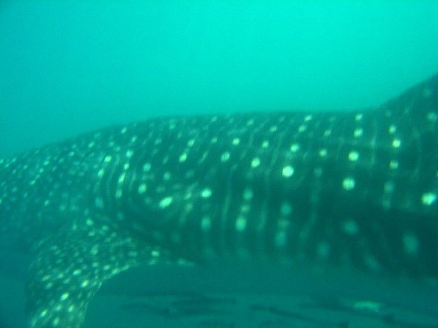 2315a81a-5beb-4f9e-af57-3cf40d8e4851