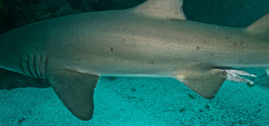 28c2395e-eee7-4d22-bbce-dc018f885c3b