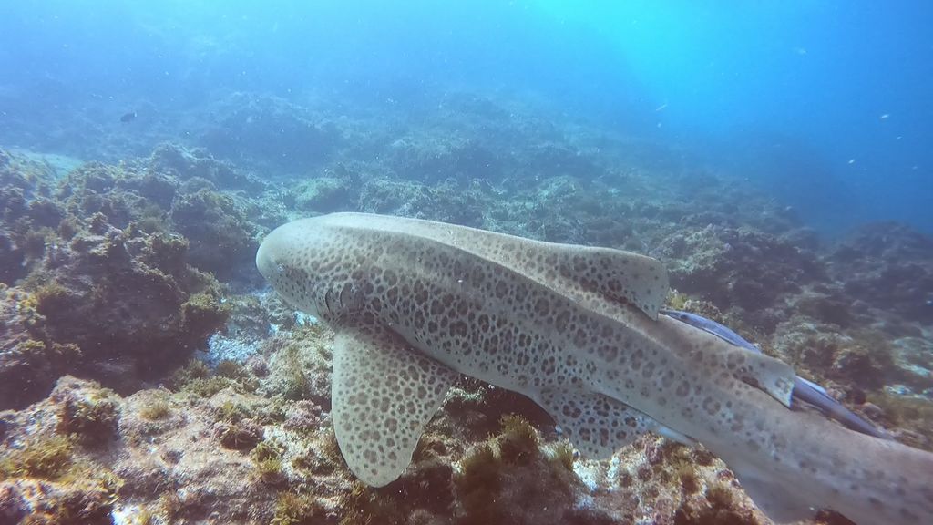 ab396fce-4f6b-44c0-8a82-6919e524349c