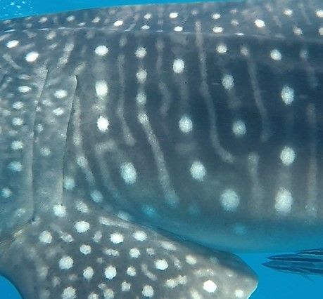 0bcc5220-a7d7-4641-96eb-71fcc781c0cc