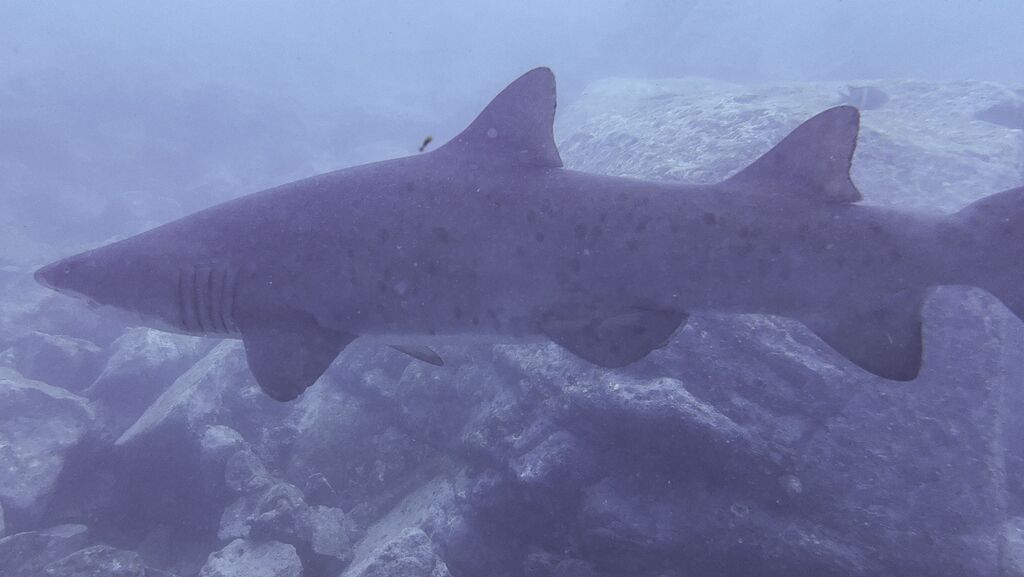 535f4338-db7f-4c83-a160-c42109bbf87f