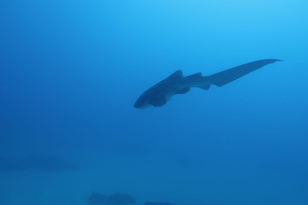 3ef2f073-0bce-426a-b277-0d48b6af163c