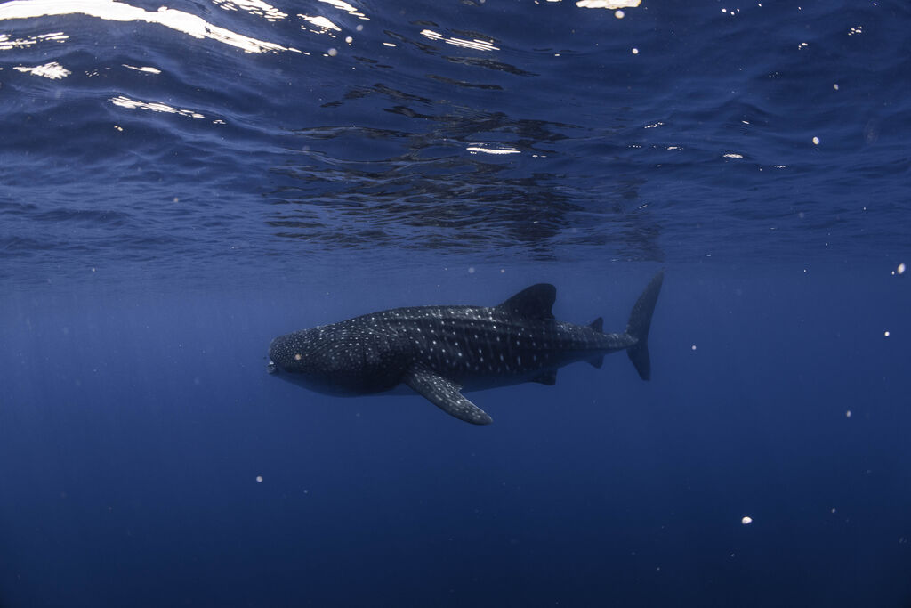 6b802540-0c78-4a54-b861-2f2acdb9eb6a