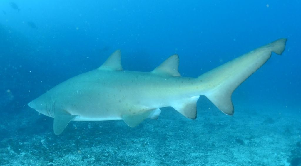 f1516353-b719-4045-addd-1ba2f057ce57