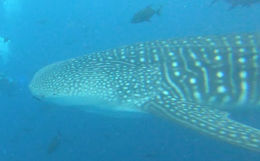 8f67eeb3-8006-4e9d-a549-2157d420b28b