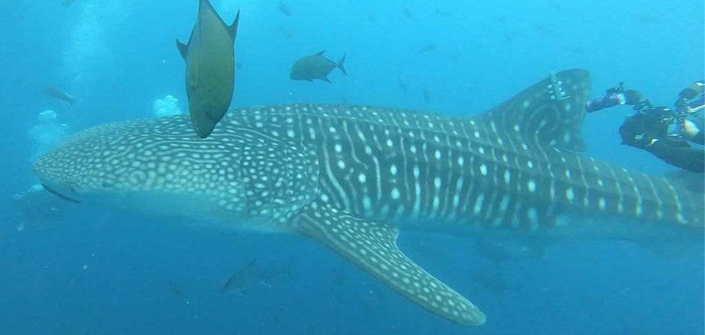 8f67eeb3-8006-4e9d-a549-2157d420b28b