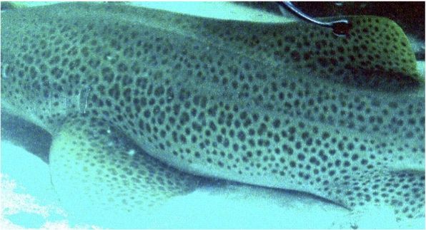 13541813-650e-4964-a5db-cd85067c7707