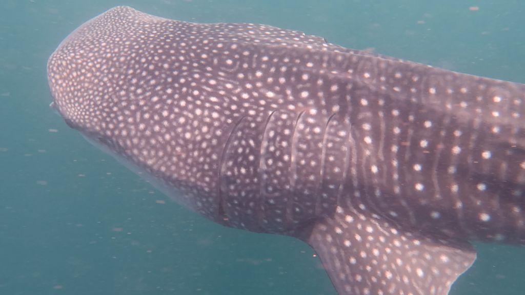 aaceac93-a301-43f9-9d70-171a793f1270