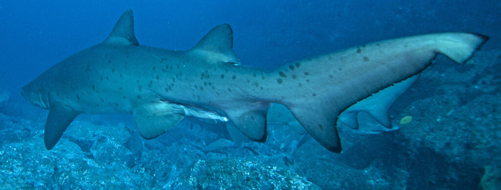 548f8ab6-4860-4f81-9125-27c25baed67f