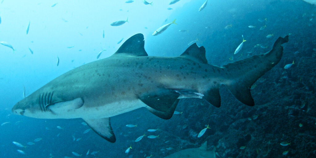 edb525ee-179b-457b-b504-891236562908