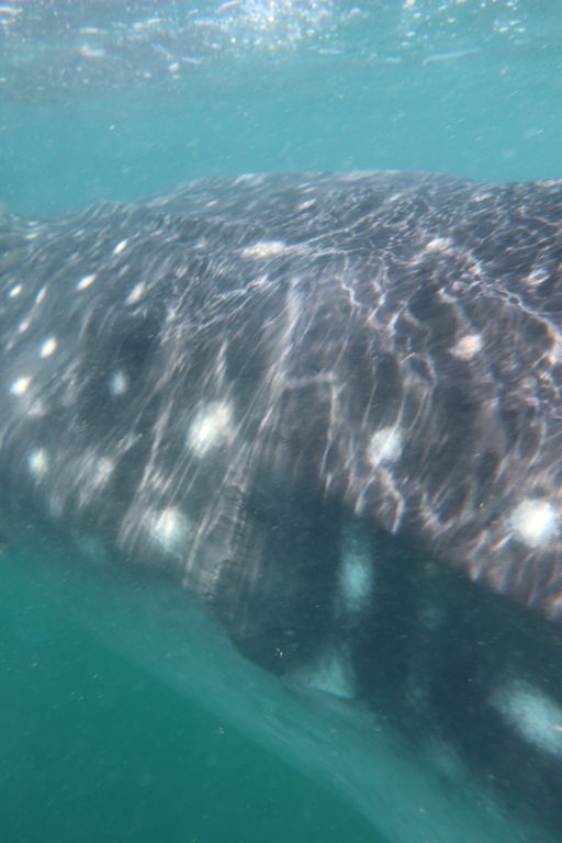 df8e3e9c-a485-40f4-a0ce-f54a59fbd1eb