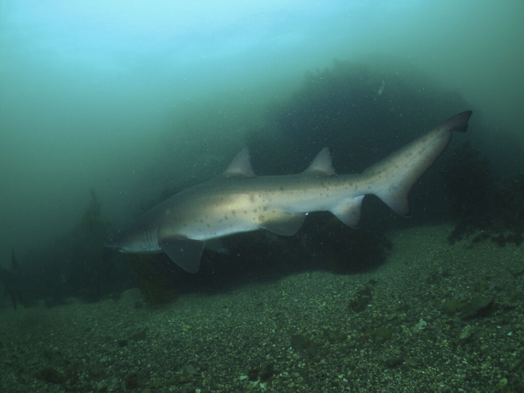 306f92c1-65d1-4f9b-b2d8-06f79fdd8b8e