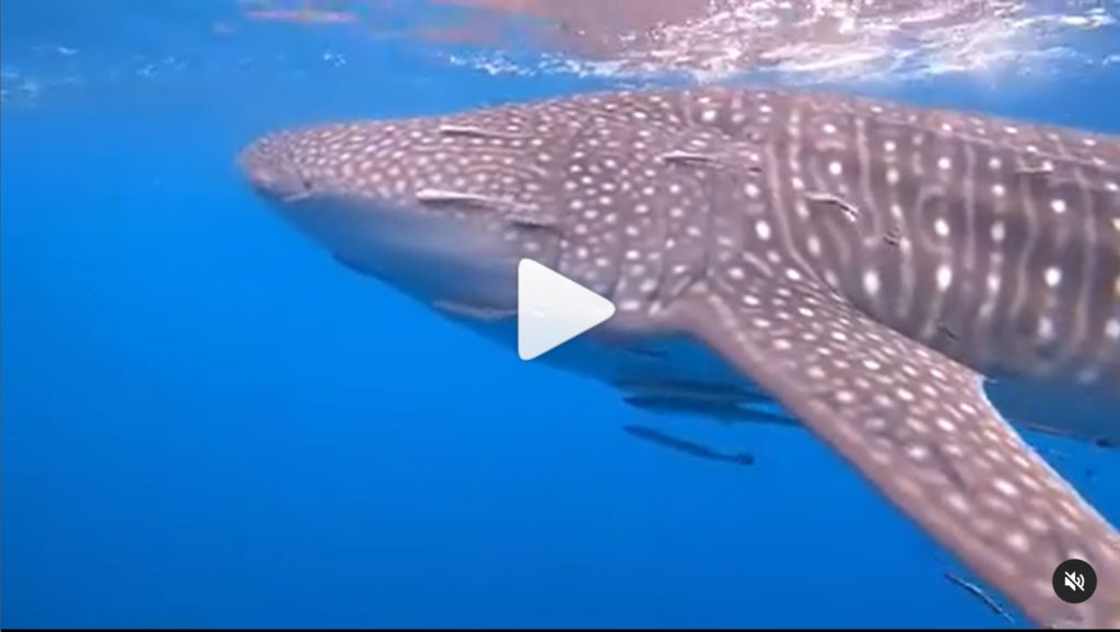 381de5e1-5300-4dfc-b21f-7d51cbe20fea