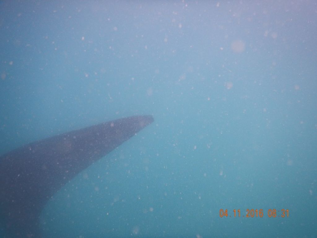 5e354854-1610-4e55-bea0-246ca23e012e