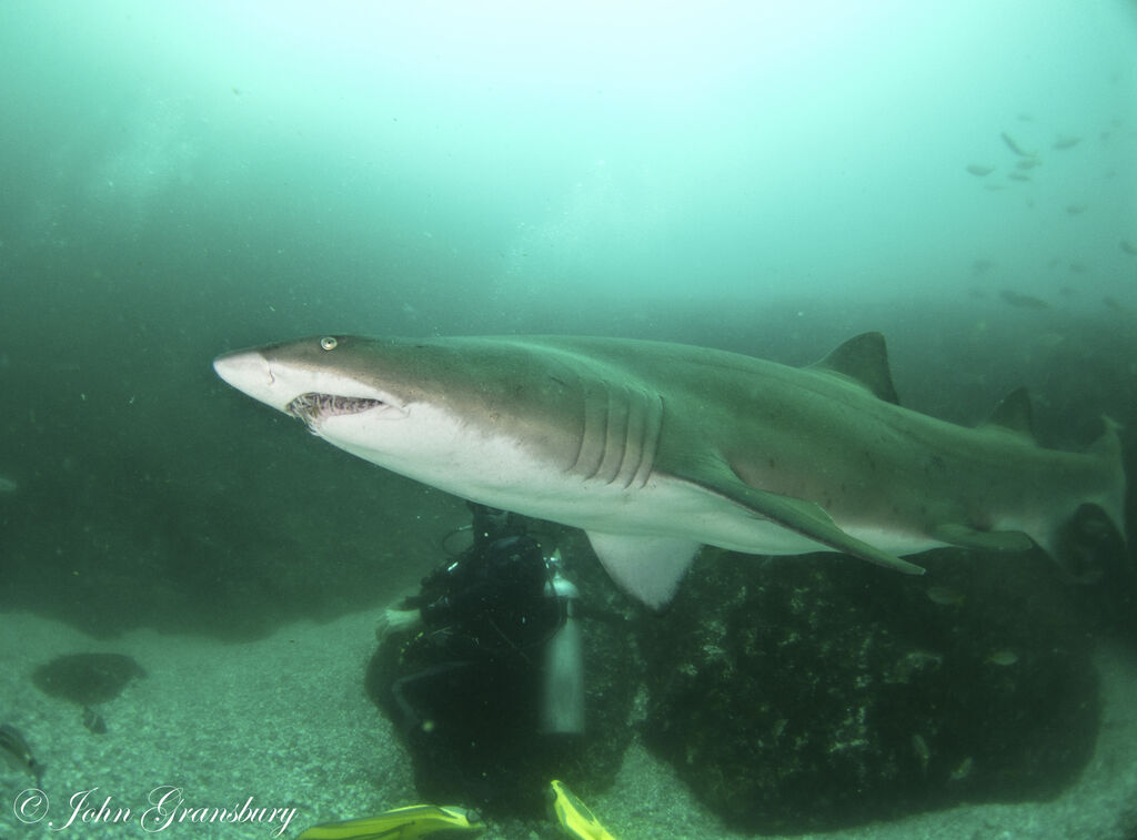 62867bda-d48a-48a8-a3c3-6b9902ffdbff