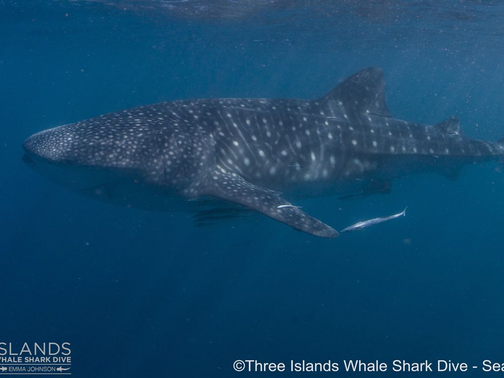 a380465d-9662-412b-8f04-66ebfe07b8d3