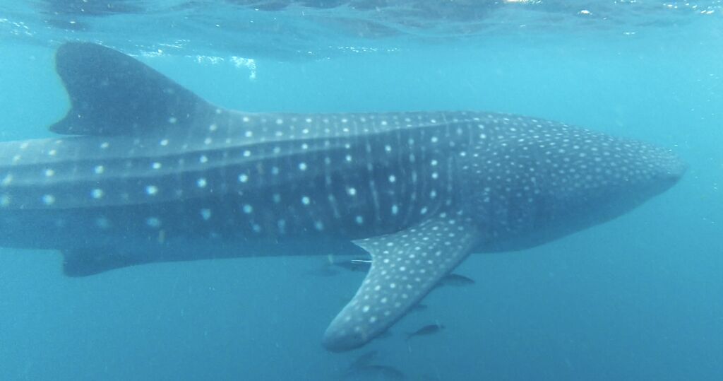 b31870c6-bb31-4dca-8763-85ab28aef210