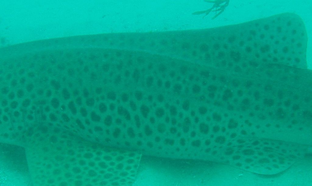 ceea2325-a09a-4b47-a599-c05194f47c6e