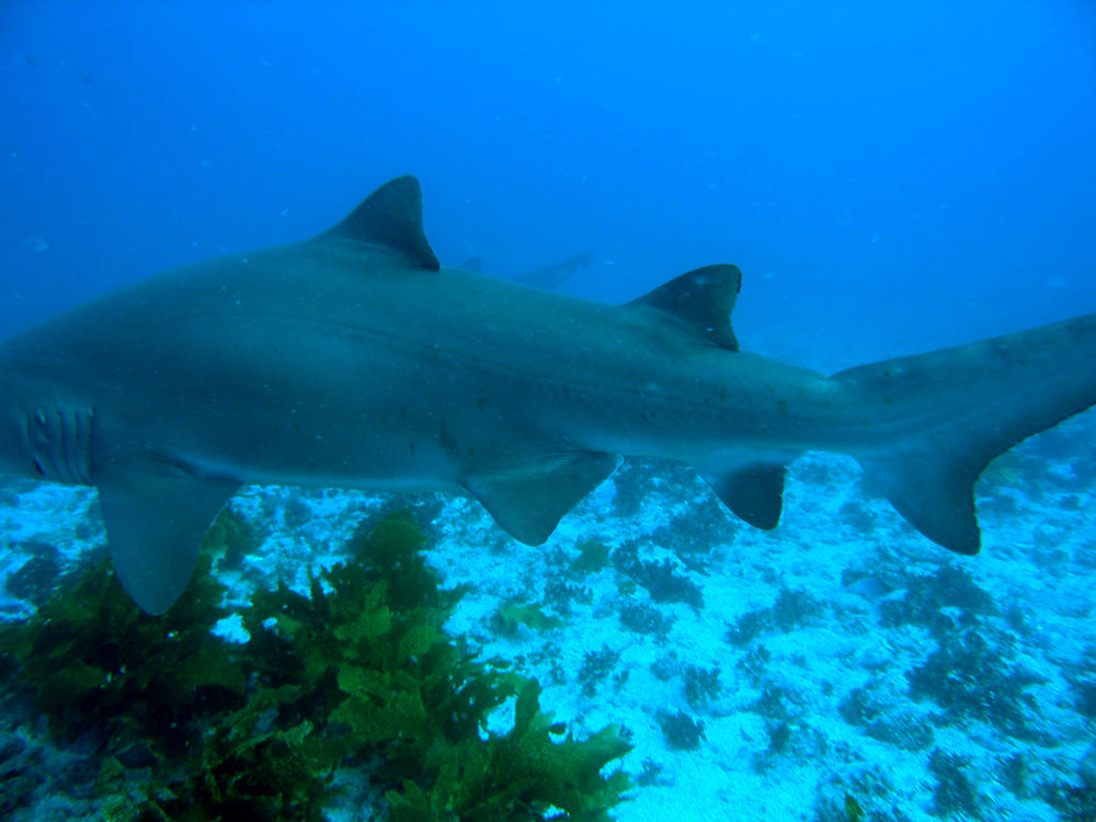 03b205d6-94b0-4401-ade7-6e4138db52f7