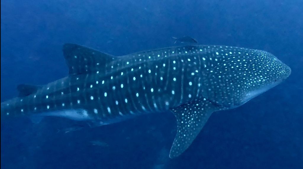 59a6cd97-f415-48e6-b09b-3392a400ad66