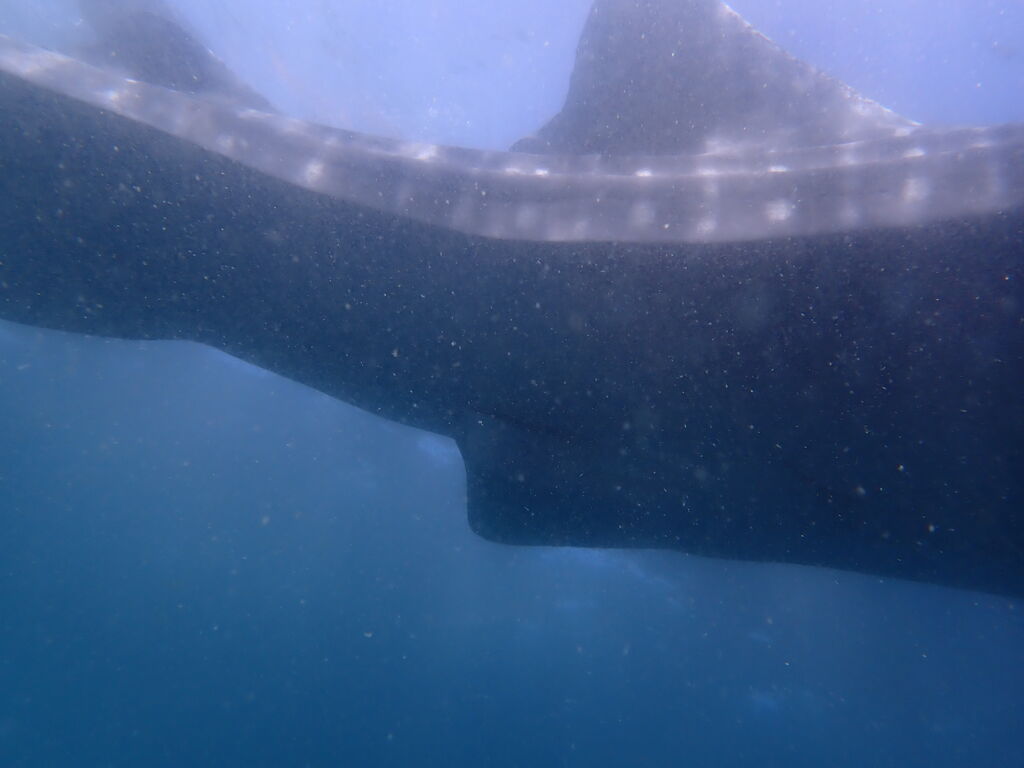 3d594d6f-f909-4258-96ff-d0dcd98410c1