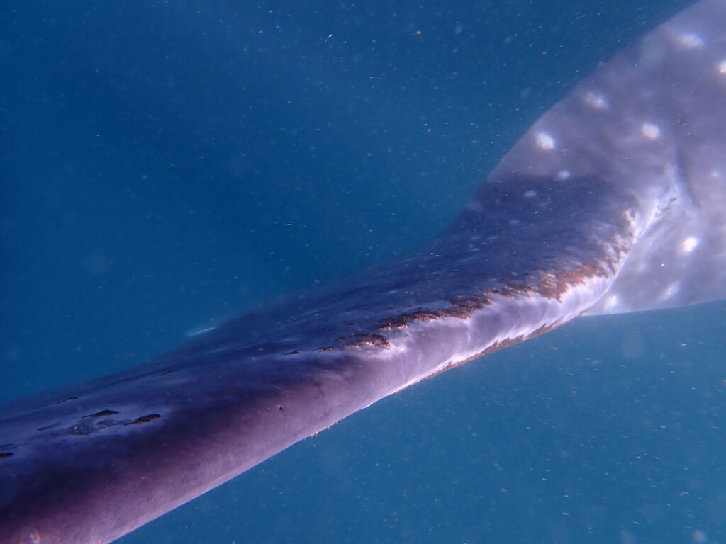 3d594d6f-f909-4258-96ff-d0dcd98410c1