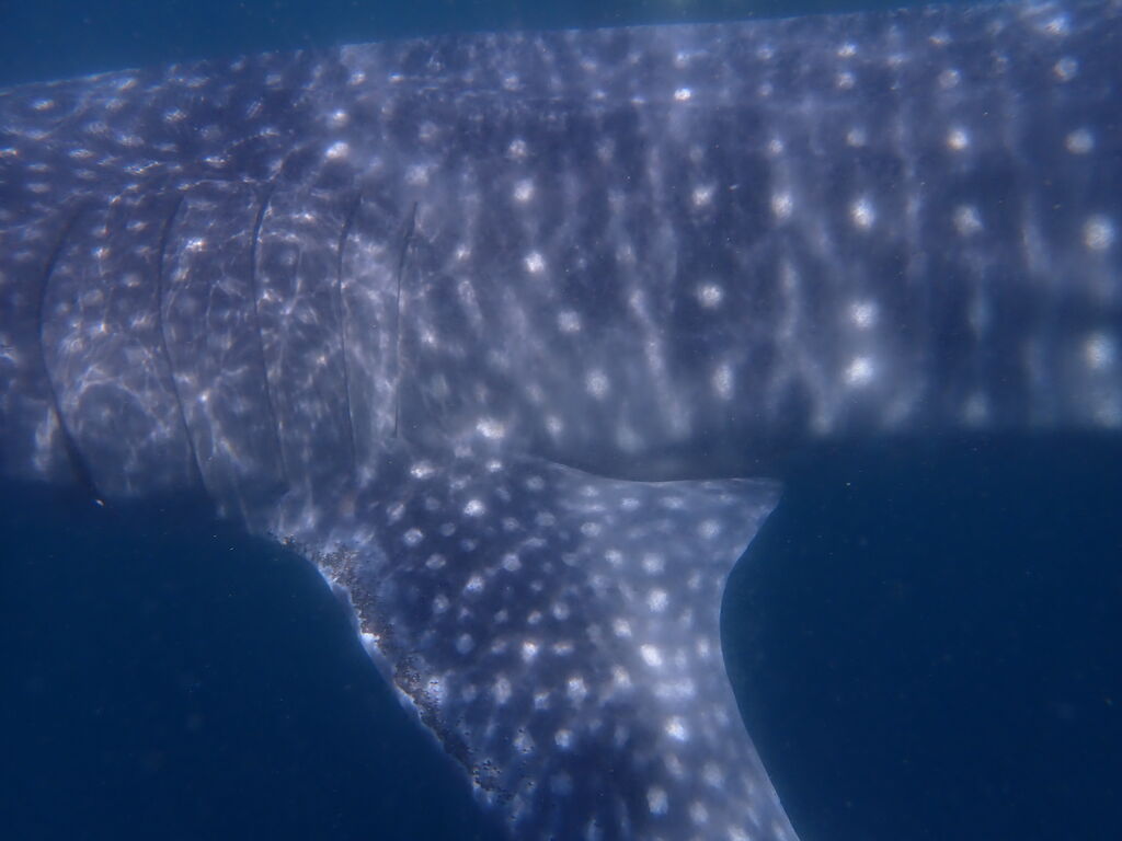 3d594d6f-f909-4258-96ff-d0dcd98410c1