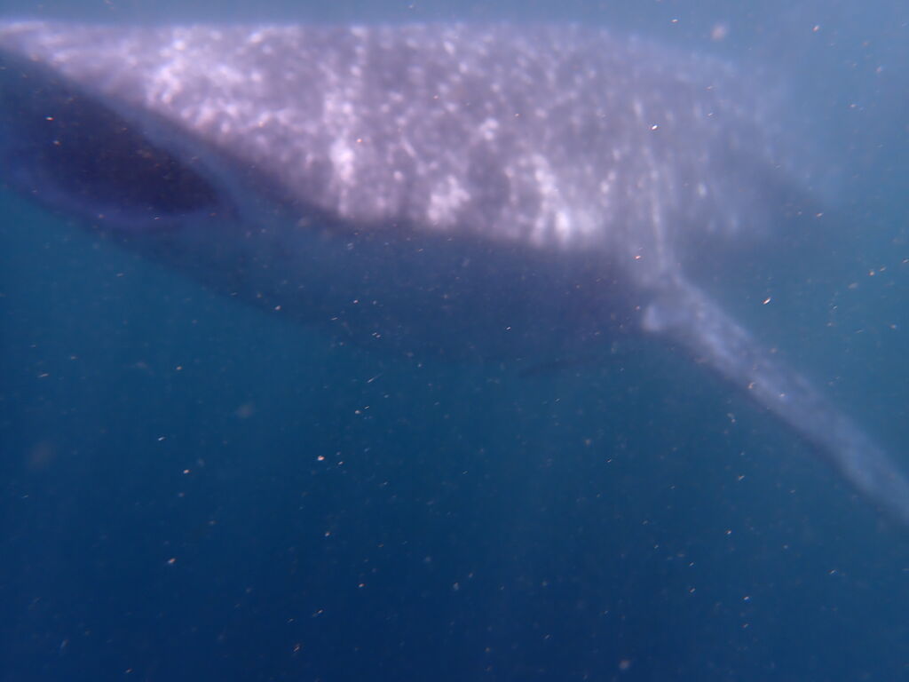 3d594d6f-f909-4258-96ff-d0dcd98410c1