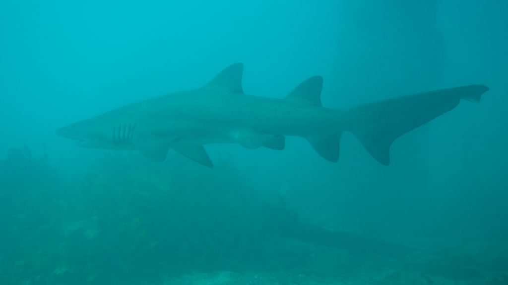 c3c6f44c-4614-4400-ae96-5c83ce794558