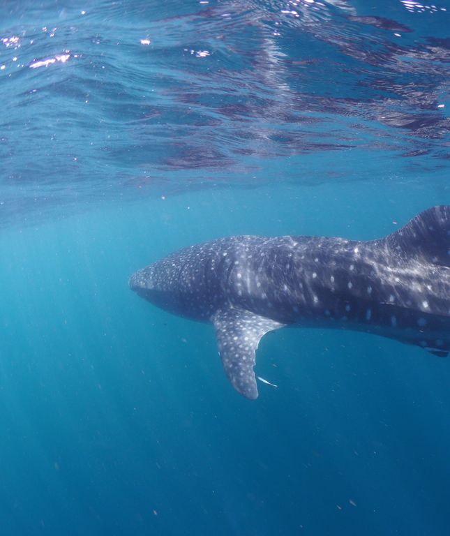 211733aa-8e65-4f33-a013-52a7cac1979c